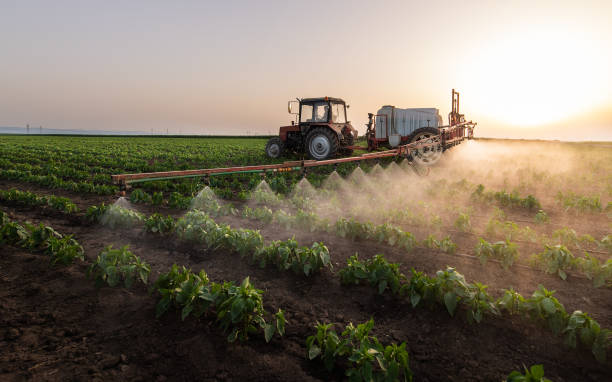 Best Commercial Pest Control Services  in South Whittier, CA