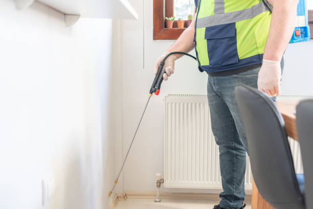 Flea Control Services in South Whittier, CA