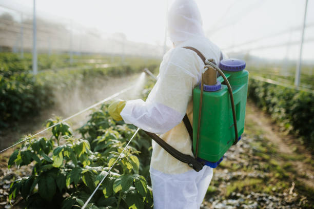 Best Termite Control Services  in South Whittier, CA